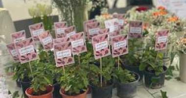 معالي مدير الجامعة يرعى لقاء إنجازٌ بجودة بدورته الرابعة
