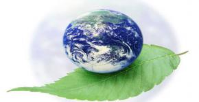 فعاليات البيئة ويوم الأرض بقسم الجغرافيا 