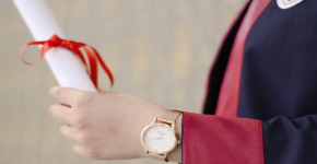 PhD Program in Software Engineering